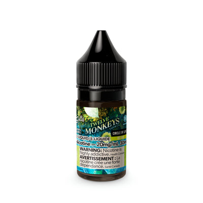 TWELVE MONKEYS ICE AGE SALT 30ml