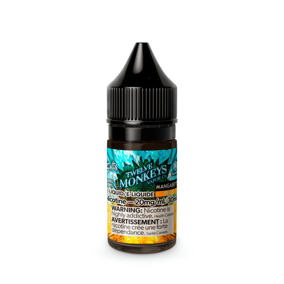 TWELVE MONKEYS ICE AGE SALT 30ml