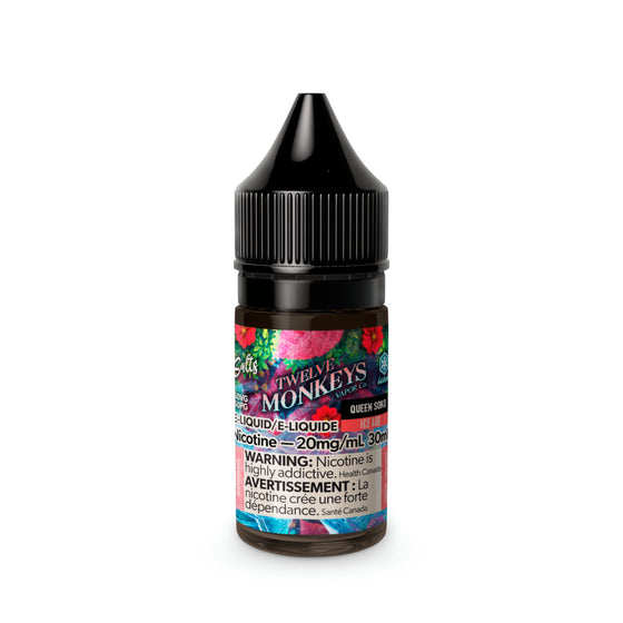 TWELVE MONKEYS ICE AGE SALT 30ml