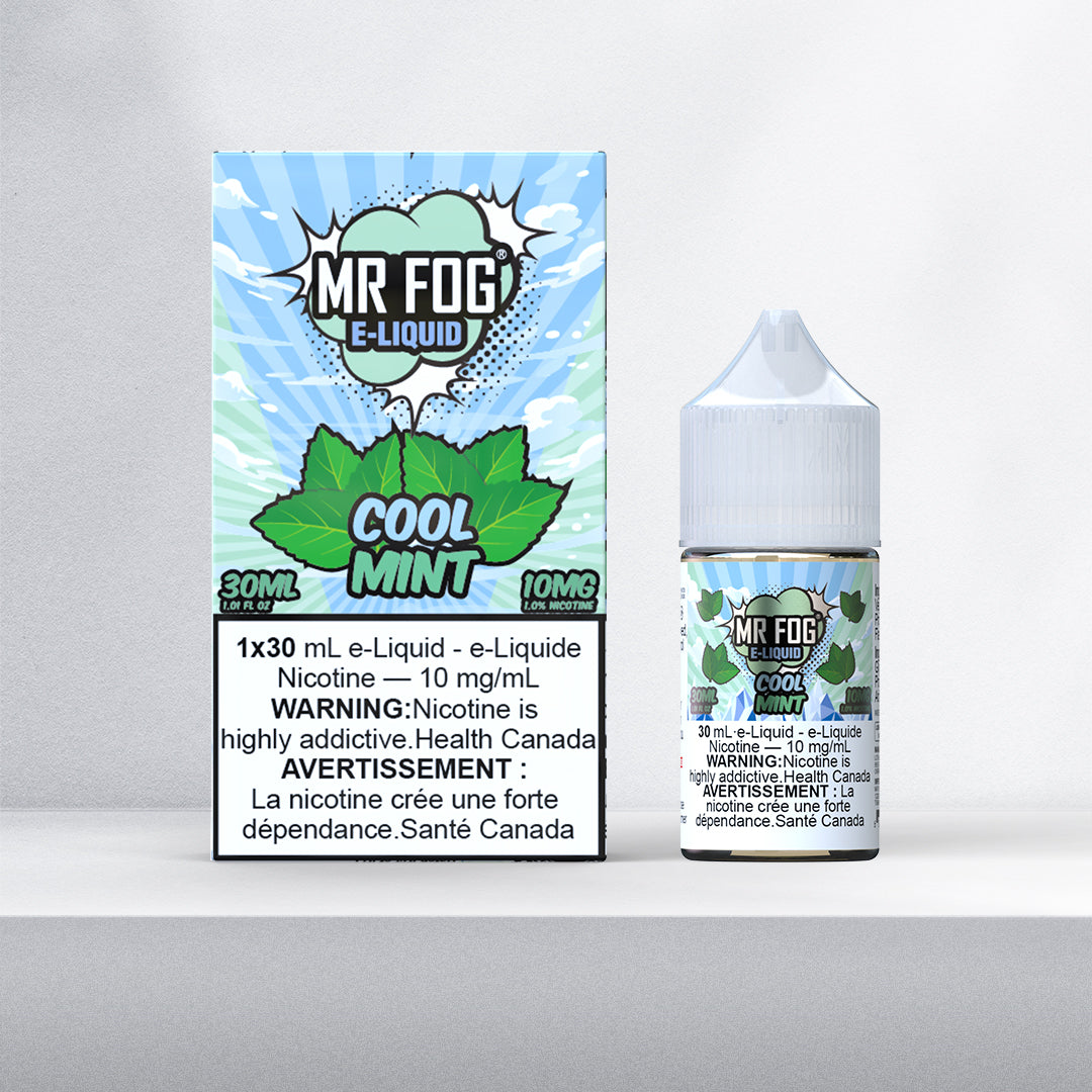 MR FOG E-LIQUID SALT 30ml