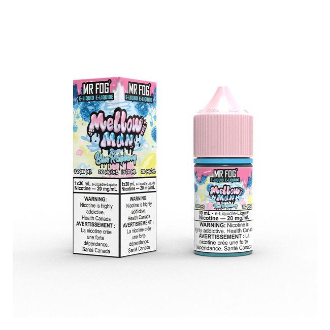 MR. FOG SALT 30ML (20MG/ML) (AB)