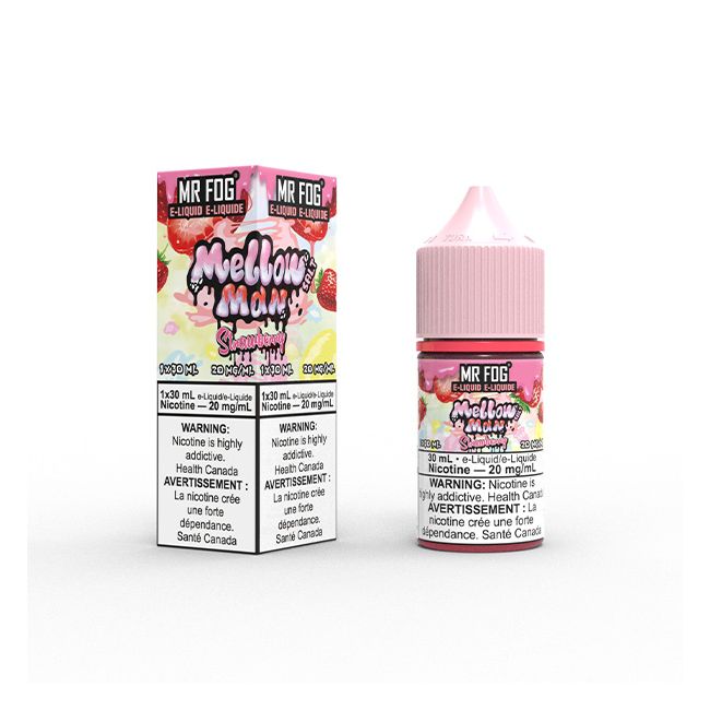 MR. FOG SALT 30ML (20MG/ML) (AB)
