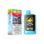 MR FOG NOVA BERRY STREEZY 36K PUFFS (EXCISE AB)