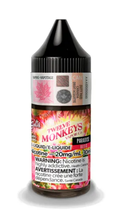 TWELVE MONKEYS SALT 30ml